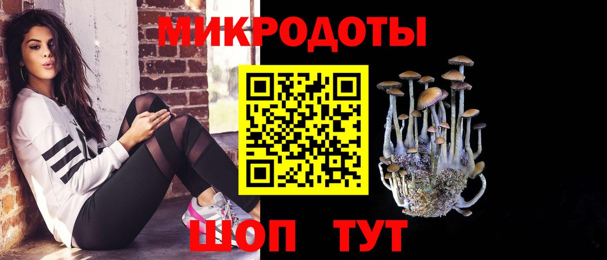 Псилоцибиновые грибы мухоморы Луга