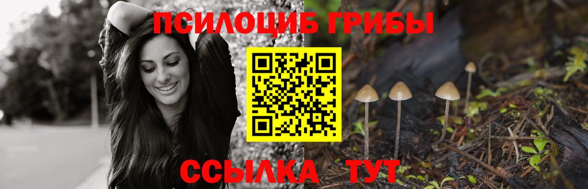 Галлюциногенные грибы Psilocybine cubensis  Галлюциногенные грибы Psilocybe  Луга  Вход с VPN 